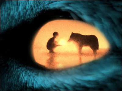 À qui doit-on le roman "L'il du loup" ?