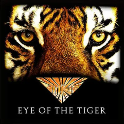 Quel groupe chante "Eye of the tiger", bande originale du film "Rocky 3 : L' il du tigre" ?