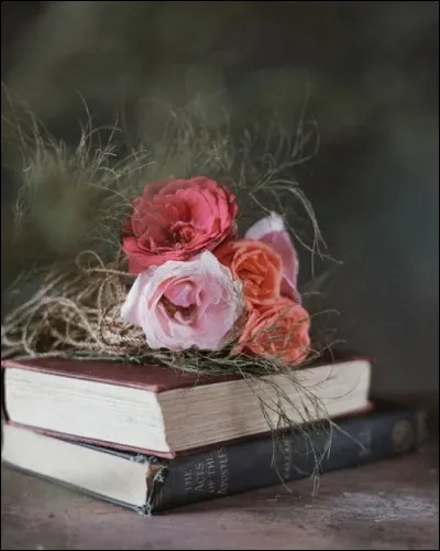 Heidi : qui narre les aventures de cette petite montagnarde suisse ?