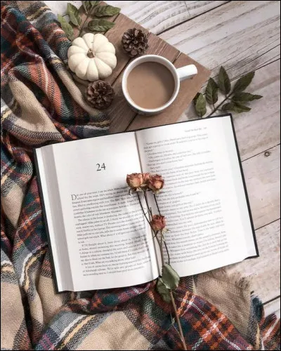 Béatrix : de qui est ce livre décrivant Béatrix, une femme fatale portant le titre de marquise de Rochefide ?