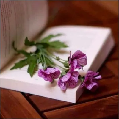 Christine : trouvez l'écrivain qui nous parle là d'une vieille guimbarde !