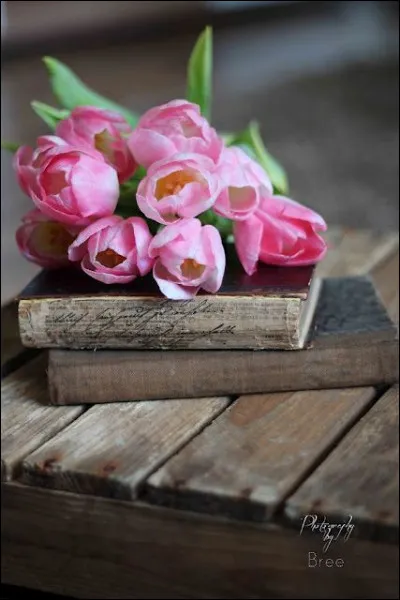 Jack : qui nous raconte l'histoire de ce jeune garçon, choyé par une mère entretenue ?