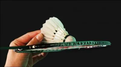 Les rois du badminton svissent surtout en Core, en Chine et . .