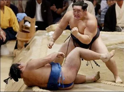 Les sportifs sumos sont surtout originaires du Japon et de Mongolie. Le poids d'un sumo varie entre. .