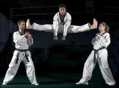Le taekwondo est un art martial originaire. .
