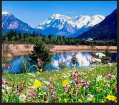 Ce serait plus une couleur voyante ou discrète ?