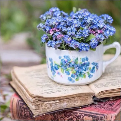 Iphigénie : à quel dramaturge doit-on cette pièce ?