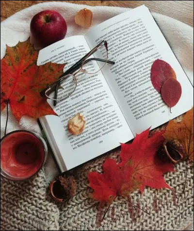 Angelo : qui est l'écrivain de ce livre ?