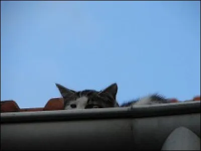 Commune de 300 habitants du nord-ouest du département du Puy-de-Dôme, au coeur des Combrailles :