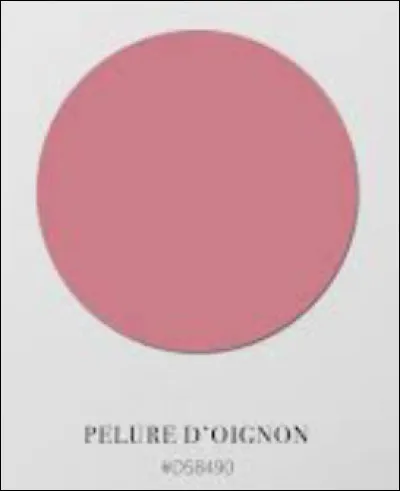 Et quelle est cette couleur ?