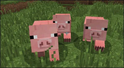 Que mangent les cochons ?