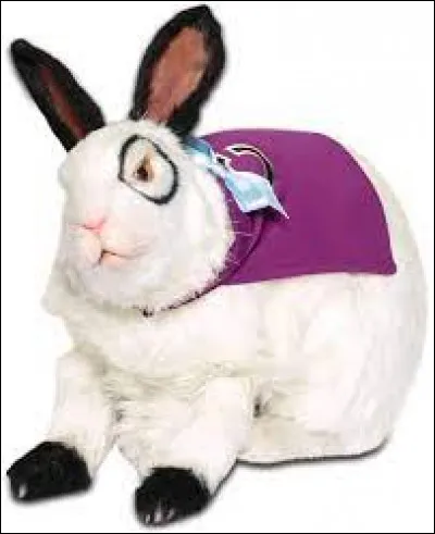 Comment s'appelle leur lapin ?