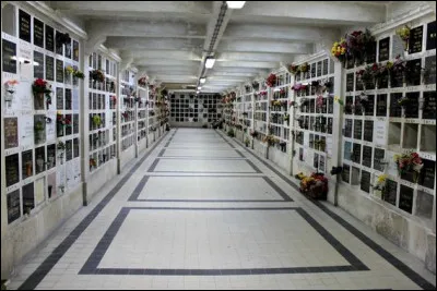 Il joue à pigeon vole, c'est le...