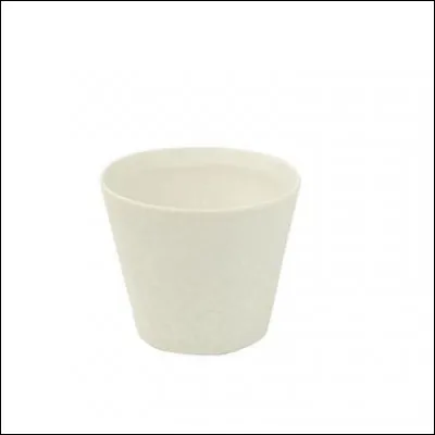 Entre le 20 janvier et le 19 février, c'est le...