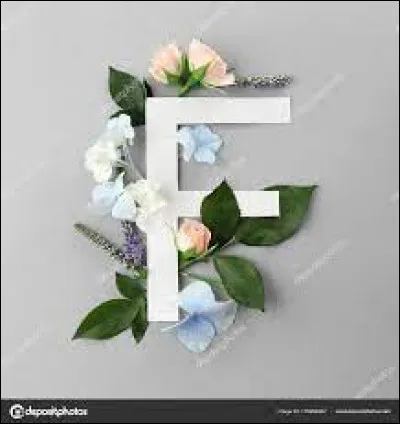 Faron : quelle ville surplombe le mont Faron ?