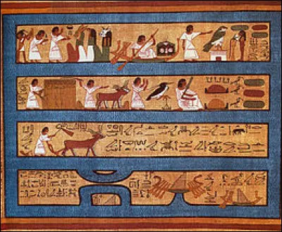 Quel mot est le cur ?