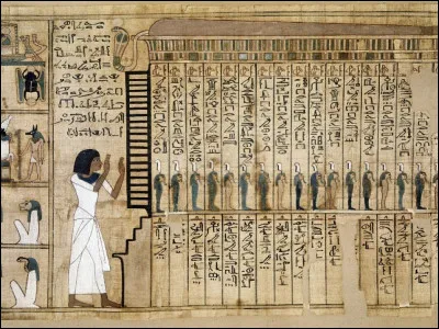 Qu'est-ce que la force vitale ?