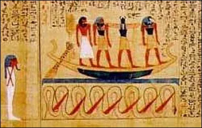 Quel est le nom de l'ombre ?