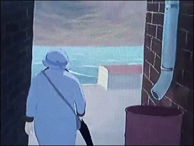 À quelle heure Louise est-elle sortie de la maison ?