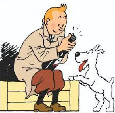 À quelle adresse habitait Tintin avant de s'installer au château de Moulinsart ?