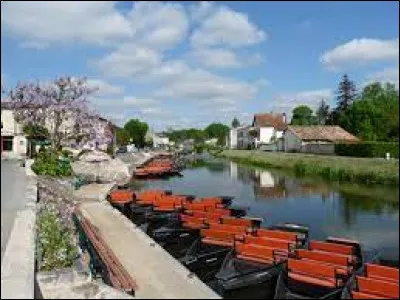 Haut lieu touristique du Marais Poitevin, Coulon est la capitale de "la Venise verte". Elle se situe dans le département ...