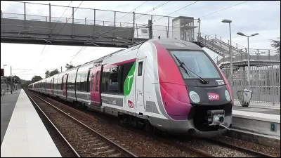 Quel est le nom de la livrée de ce train ?
