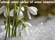 Quiz Oh ~ Ô et autres !