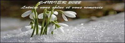 Comme vous êtes sans détour aucun, quel verbe associez-vous à "tout haut" ?