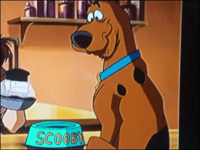 Quel est le nom de ce personnage ?