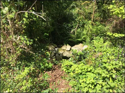 Dans ''La Guerre des clans'' quel est ton clan préféré ?