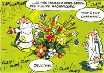 Quel trophée est donné au meilleur druide de l'année dans "Astérix et les Goths" ?