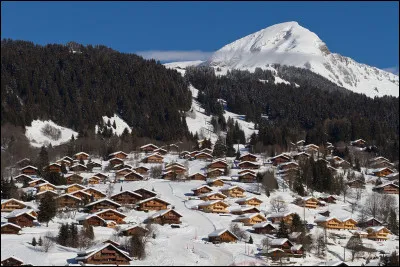 Dans quel pays alpin, découpé en cantons, peut-on skier sur les pistes de la station des Diablerets ?