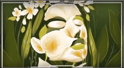 Et là, que vois-tu en premier ?