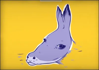 Et là, que vois-tu en premier ?