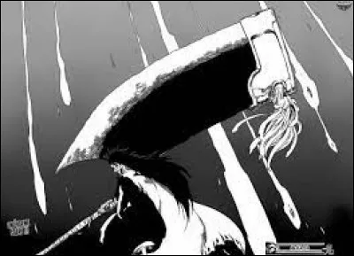 Le Zanpakutō du capitaine Zaraki Kenpachi se nomme "Kageboshi".