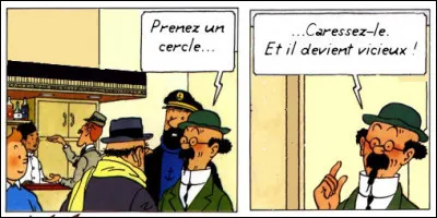 Y'a pas à dire, c'est bien du Tournesol ! Ou plutôt du ...