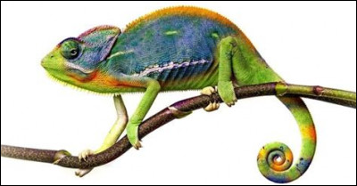 Qu'est-ce que c'est ?