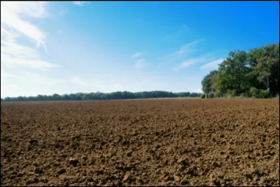 Avec quel engin peut-on obtenir un champ comme celui-ci ?