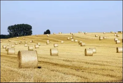 Avec quel engin peut-on obtenir un champ comme celui-ci ?