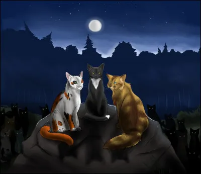 Que préférez-vous que les autres clans sachent de vous ?