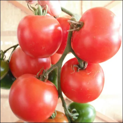 Mes copains me disent que les tomates sont des légumes mais moi, je leur réponds que non ! Qui a raison ?