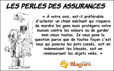 Ancienne monnaie d'argent, frappée sous Louis XII !