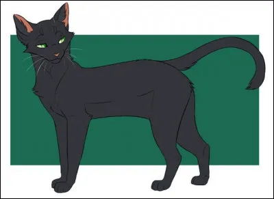 Oh, mais qui est cette chatte qui a des frères avec des pouvoirs ?