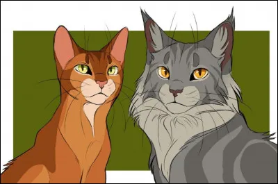 Qui est ce grand chat gris ?