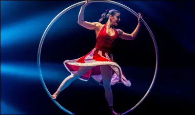 À quel auteur doit-on "Le Grand Cirque" ?