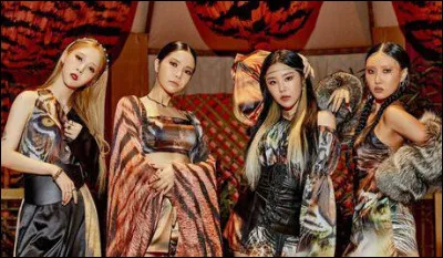 Quelle est ta couleur préférée ?