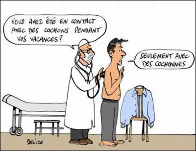 Quel insecte est le vecteur de transmission de la fièvre jaune ?