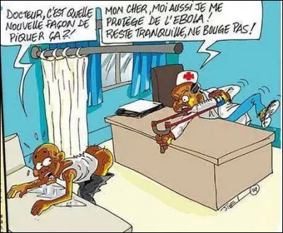 Dans quelle région du monde la fièvre hémorragique Ébola est-elle très principalement présente ?