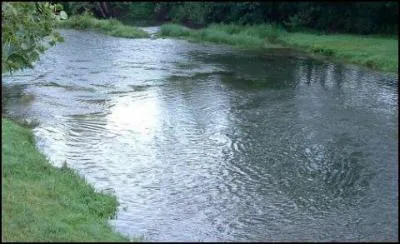 Qui le (la) sauve ? (si quelqu'un tombe dans l'eau)