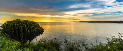 G&eacute;ographie : Le lac Victoria est avec une superficie de 68 100 km2 le plus grand lac d'Afrique. Sur combien de pays s'&eacute;tend le lac Victoria ?